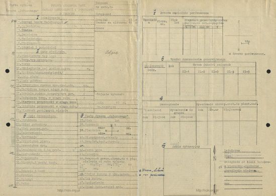 karta opisowa drzewa miniatura