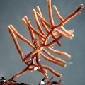 d03.jpg