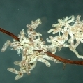 d09.jpg