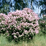 b10.jpg