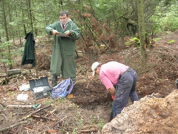 Fragment powierzchni badawczej w lesie bukowo-jodłowym (Nadleśnictwo Suchedniów)