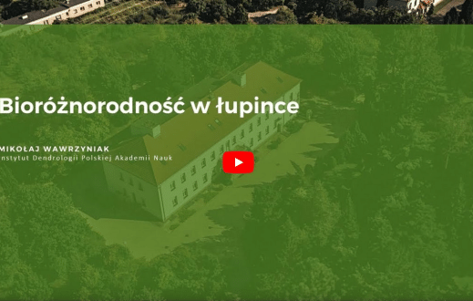 BIORÓŻNORODNOŚĆ W ŁUPINCE