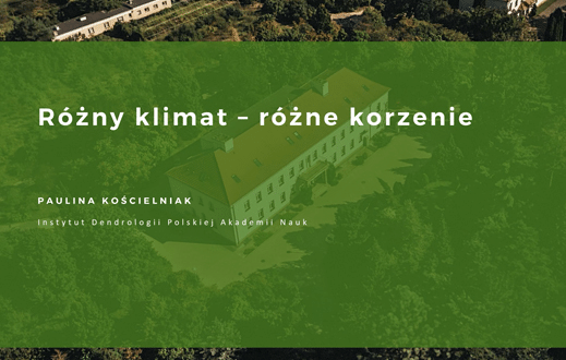 RÓŻNY KLIMAT - RÓŻNE KORZENIE