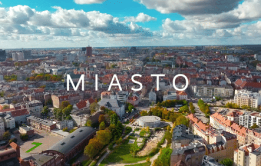 Różnorodność biologiczna – Miasto