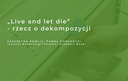 Klimat na bioróżnorodność