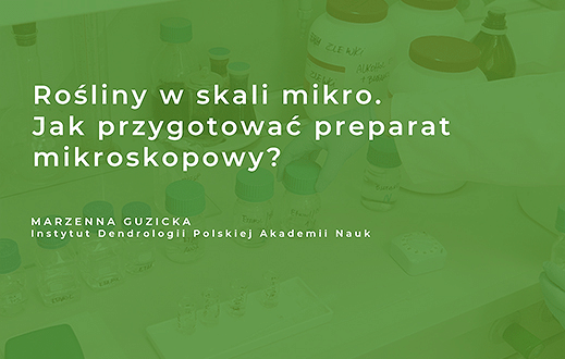 Klimat na bioróżnorodność