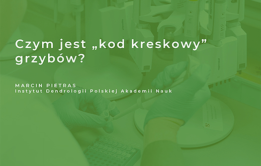 Klimat na bioróżnorodność
