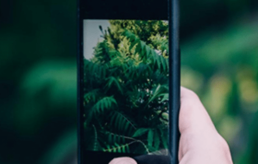 Nauka dla praktyki: Nauka obywatelska w lasach