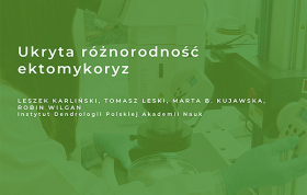Klimat na bioróżnorodność