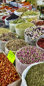 Opowieść o więzi ludzi i roślin