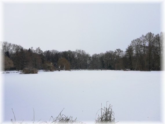 Na pierwszym planie tafla jeziora pokryta śniegiem, w tle sylwetki drzew.