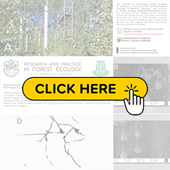 mini konf2026 Brodski