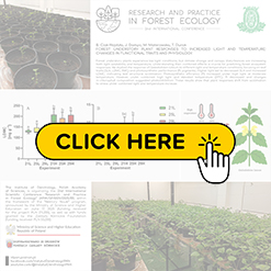 mini konf2026 Ciak Wojdyla