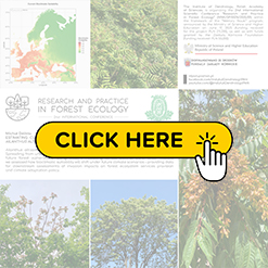 mini konf2026 Delikta