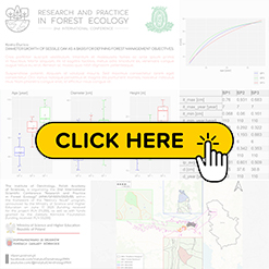 mini konf2026 Djurica