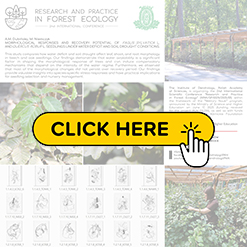 mini konf2026 Dubińska