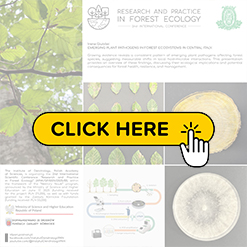 mini konf2026 Giubilei