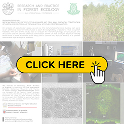 mini konf2026 Hutniczak