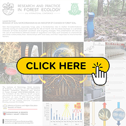 mini konf2026 Karliński