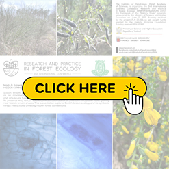 mini konf2026 Kujawska