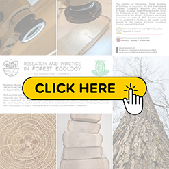 mini konf2026 Muzolf