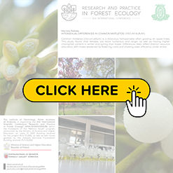 mini konf2026 Rabska