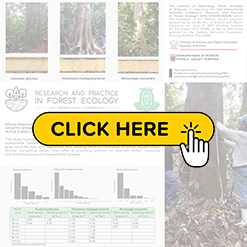 mini konf2026 Wasukundi