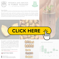 mini konf2026 Williams