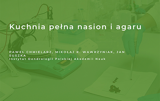 knb2 wawrzyniak