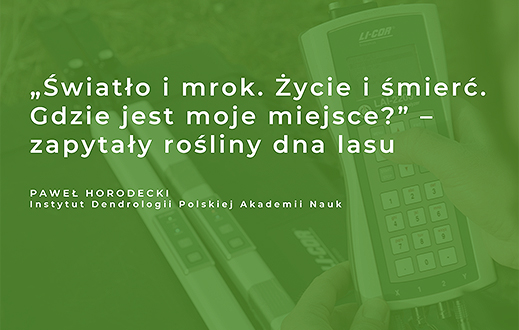 knb2 horodecki