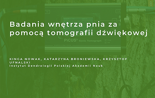 knb2 nowak