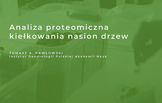 knb2 pawłowski
