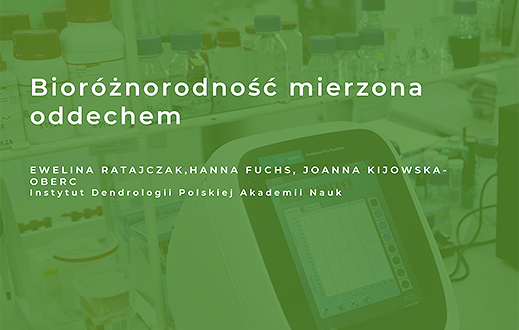 knb2 ratajczak