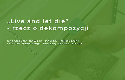 knb2 rawlik