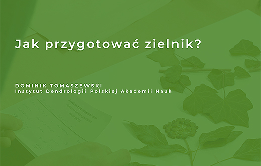 knb2 tomaszewski