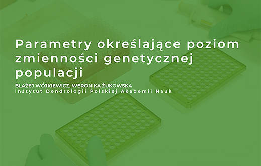 knb2 wójkiewicz