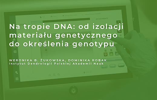 knb2 żukowska