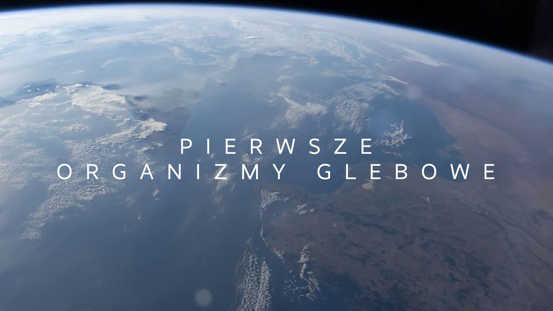 pierwsze organizmy glebowe