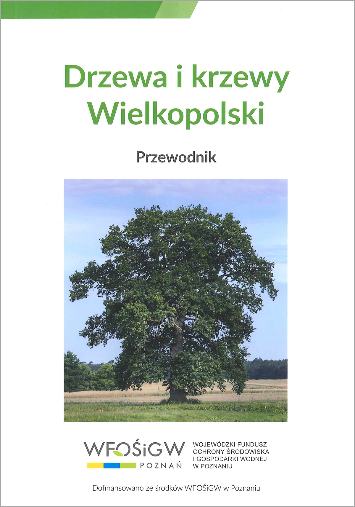 drzewa i krzewy wielkopolski okładka