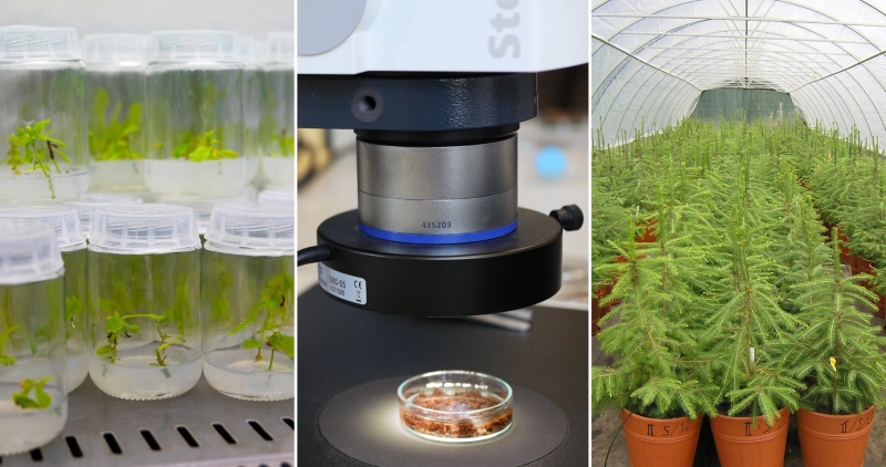 4. Seminarium naukowe