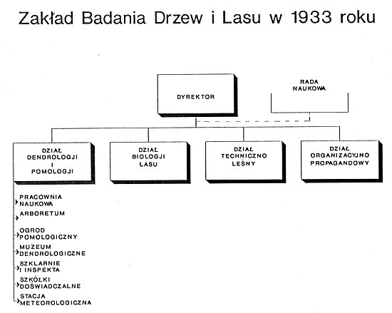 Ryc. 10. Projektowana struktura Zakładu Badania Drzew i Lasu