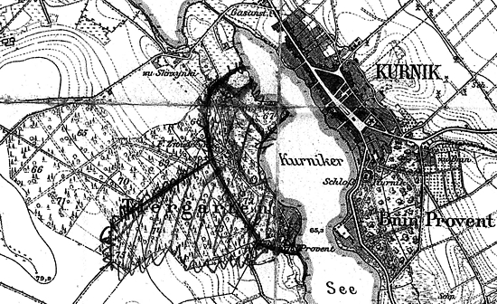 Ryc. 5. Obszar lasu doświadczalnego ‘Zwierzyniec’ projektowany w 1928 r.