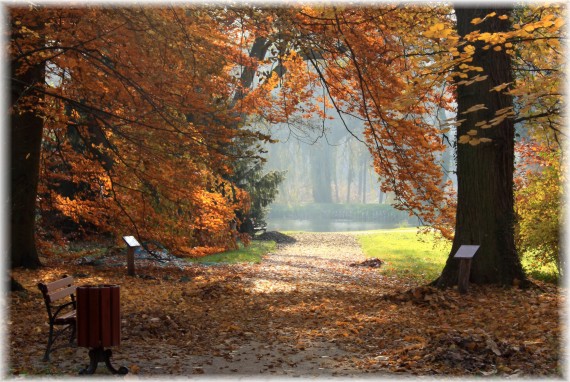 Jesień w Arboretum