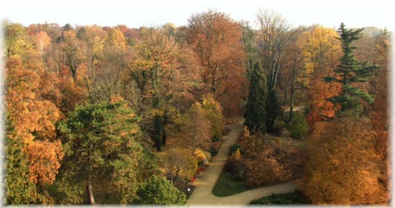 Jesień w Arboretum