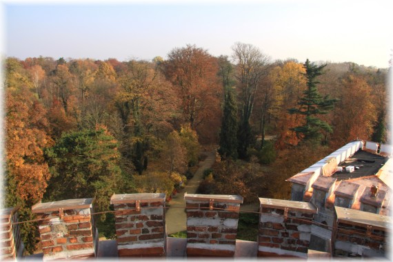 Jesień w Arboretum