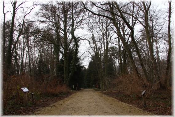 Arboretum Kórnickie