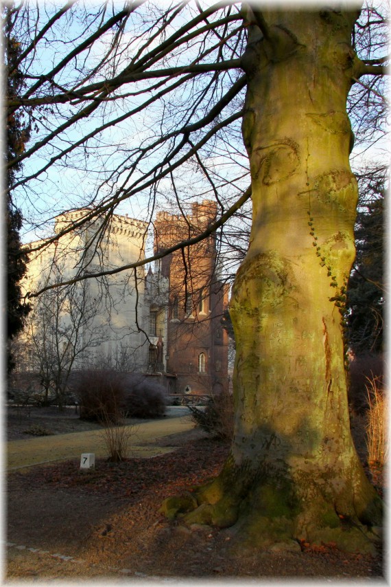 Arboretum Kórnickie