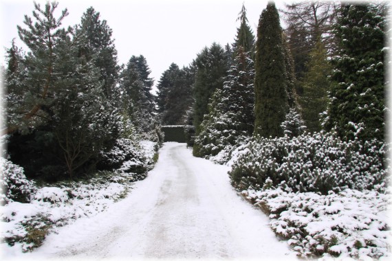 Arboretum Kórnickie