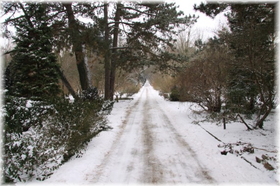 Arboretum Kórnickie