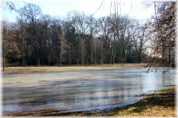 Arboretum Kórnickie